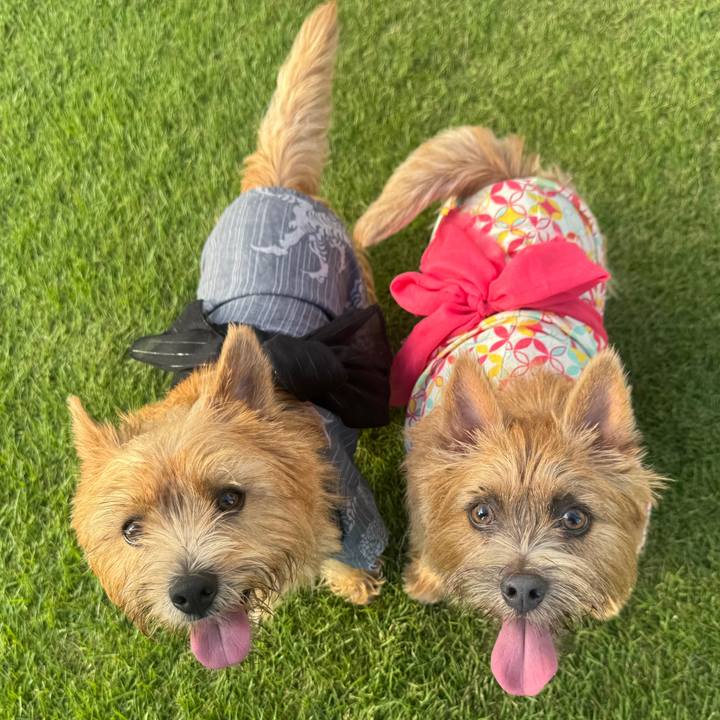 F35254cb 4154 4ce3 8eb1 e760b6d27acf 1759767822775