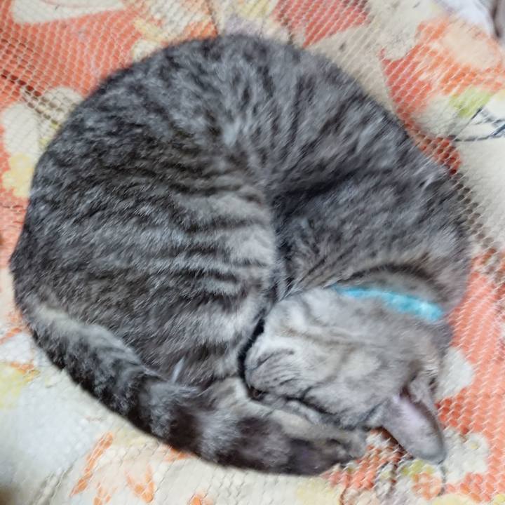 F35256ec 9b2d 44f3 82d3 ad1fdda8ac4c 1571750589822