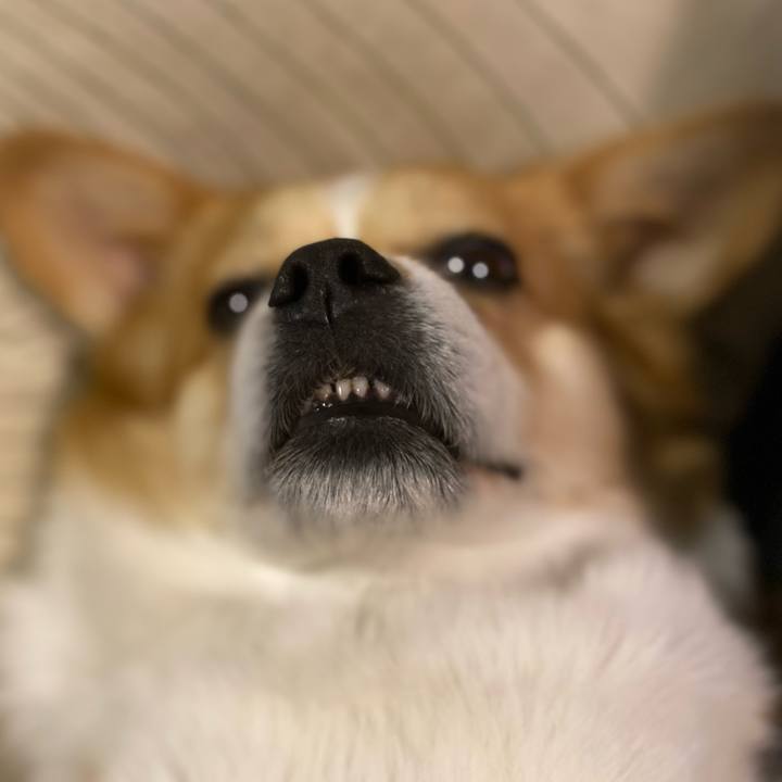 F352663b ea21 4478 ae78 7c4932898f8c 1775726166864