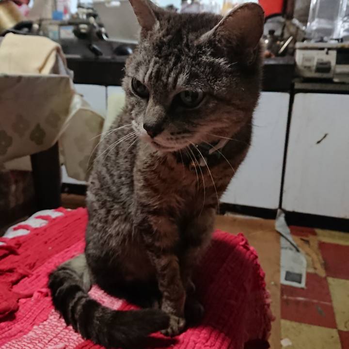 F35267ff ee9f 4af6 aeb9 2ee48042ff28 1562532252382