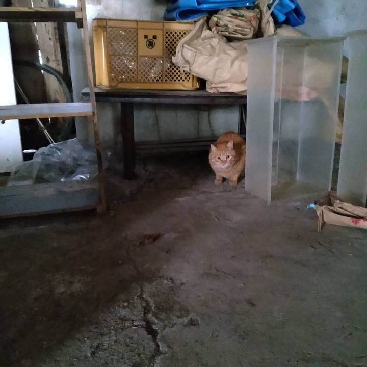 F352a92e c450 4822 aa13 8974077dee56 1671315967025