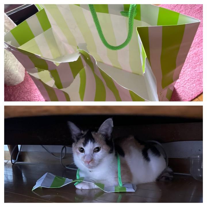 F352a956 ba91 4c42 b5ba 8b4782a5c027 1666397452725