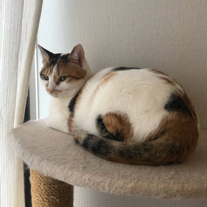 F352c23a 92b6 4ae6 b1b7 be5364105a59 1585611221735