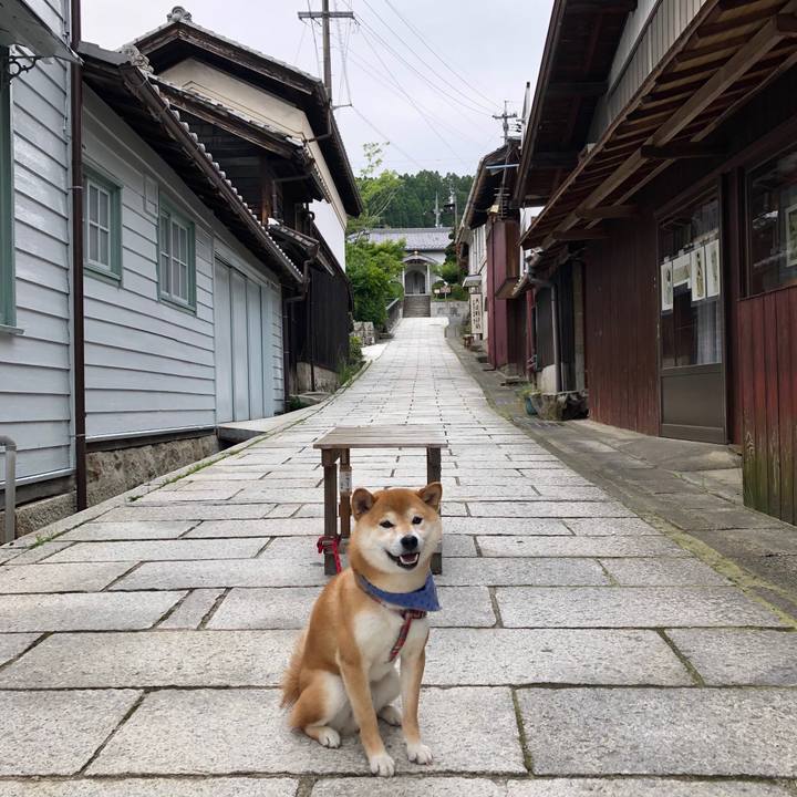 F352d007 6d26 4c21 b64c 19a6af4d1ff1 1528252902779