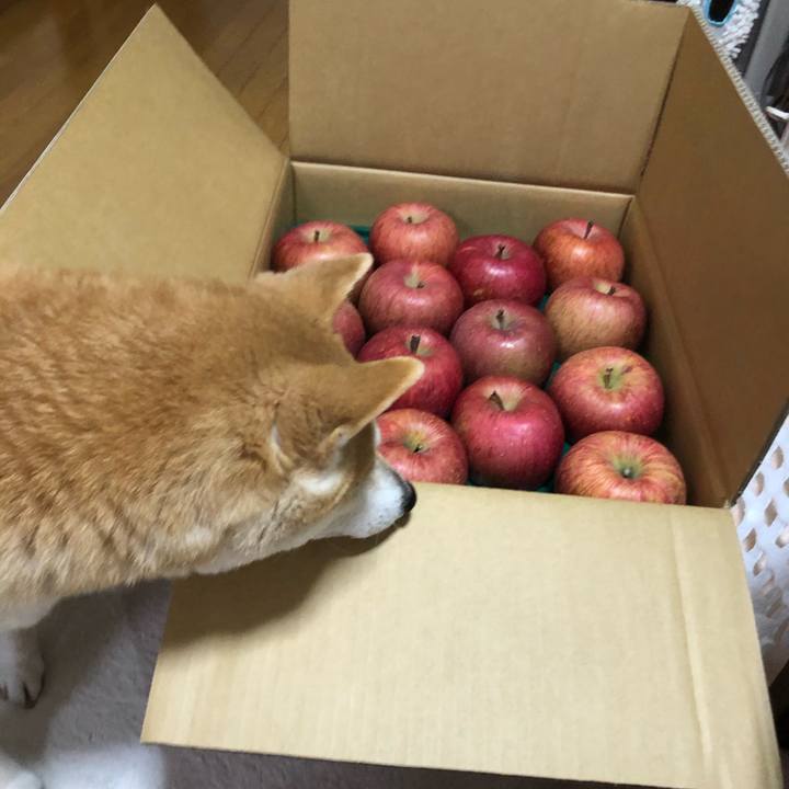 F352d233 49b3 4b0f 8216 2ae8ecddbec8 1584008990485