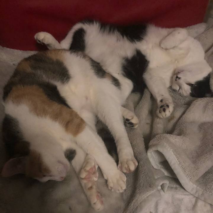 F3531650 65d6 43a4 a40e 308ac9255579 1610291728926