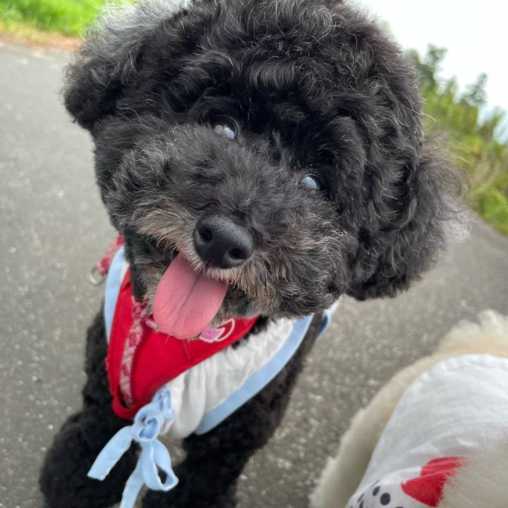 F353380b ec1f 4bc8 8104 55bc5deb6887 1759243480325