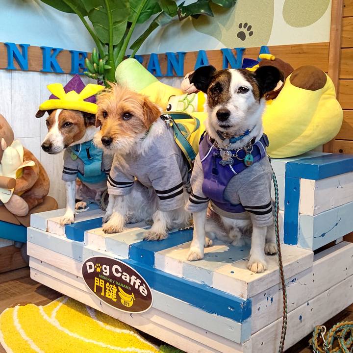 F3536343 f5b3 48d3 ad93 c3fb009418bc 1683202408836