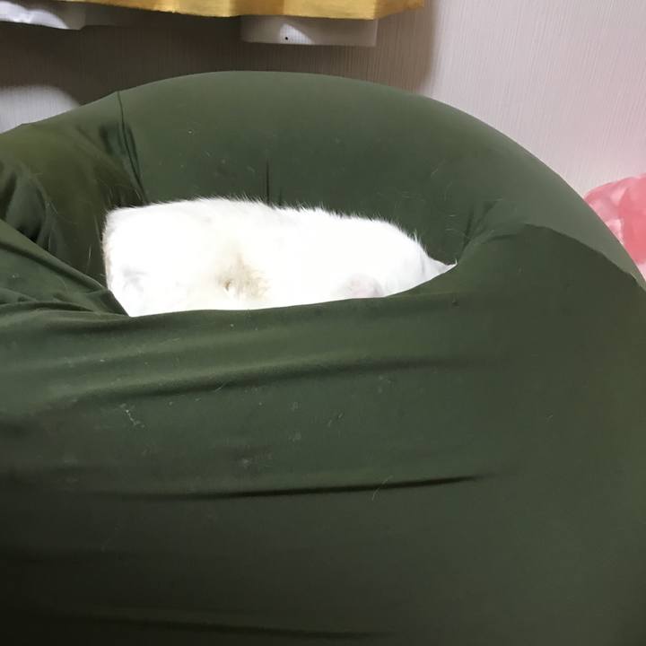 F3536517 c872 45f1 8ff8 a8dd3d40c5ab 1518952662465