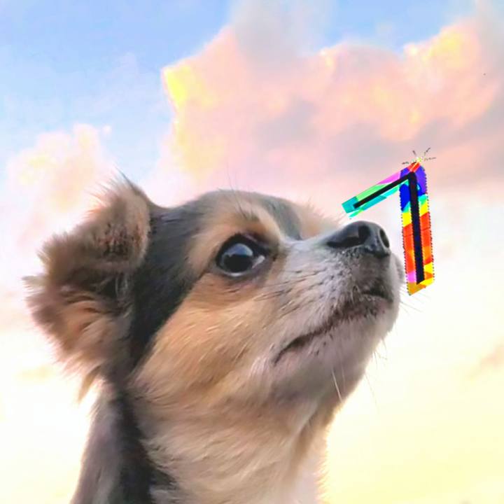 F353b9bb d0d5 40e2 9bd9 ed8662db7a3b 1686908533779