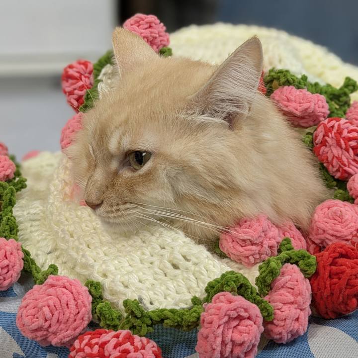 F353c8c6 2b21 4378 8d80 70e26f6e49bd 1763007489161