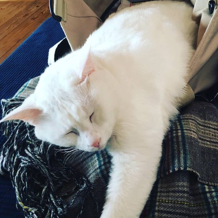 F353cb1a e4b9 45c2 9b7d 5f32a421873e 1551403271300