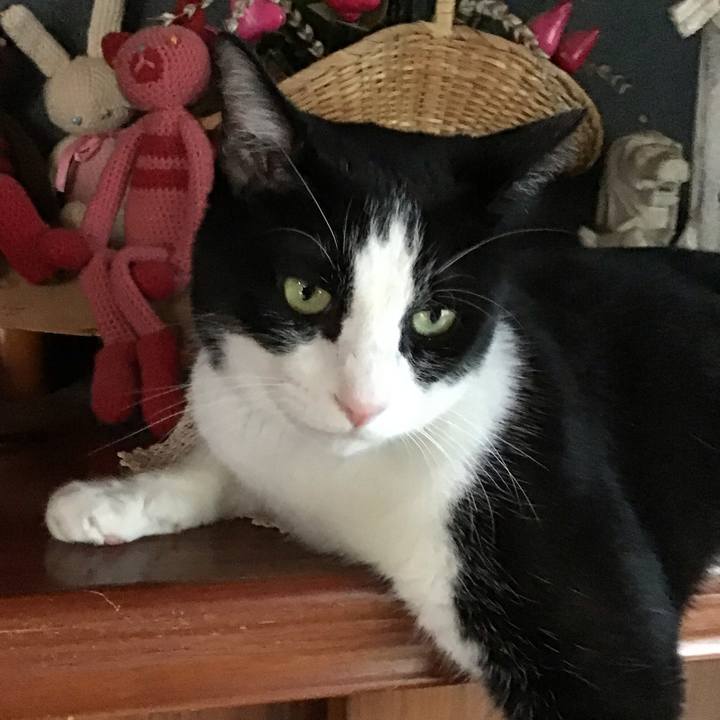 F353f7b8 08f9 4dab ae2c 12deca72670b 1754397331625