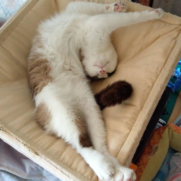 F35431c9 1122 4f0a 84d2 f4cd5c45fc72 1530424958274