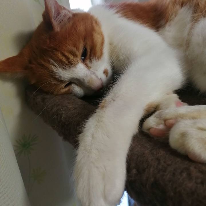 F35443c7 9959 410c 9d19 a99e31a93e30 1621893049068