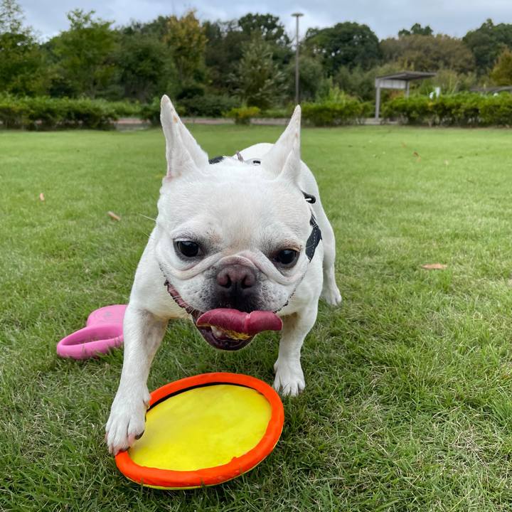 F35449b9 d619 4a17 acdc c18ce53aec5f 1728196037982