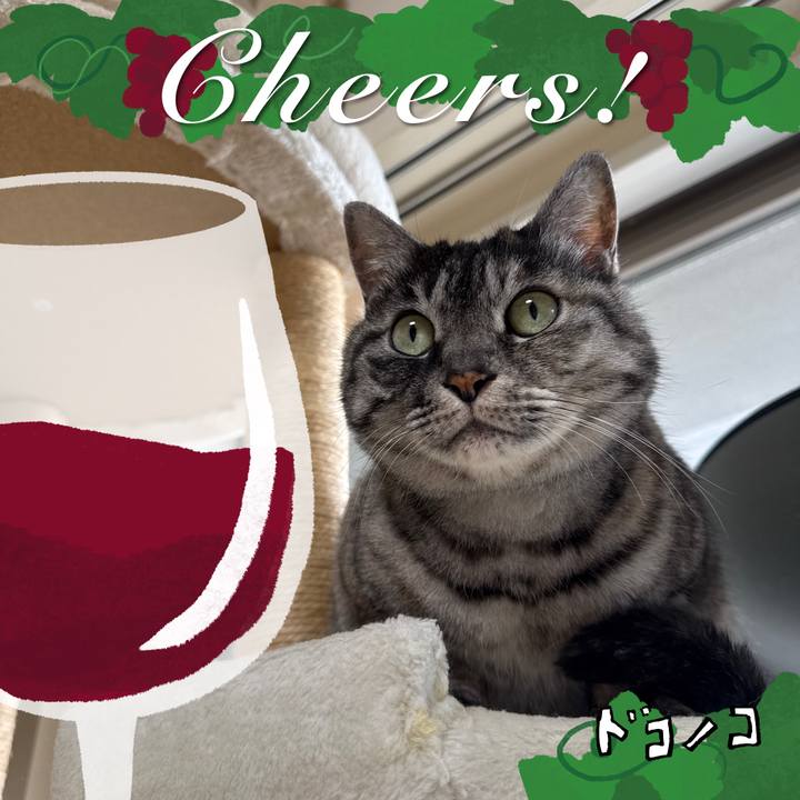 F35472ae 99ed 43ab 868c 1f6427ce1b18 1764220109160