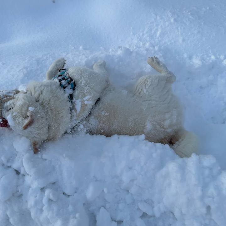 F3549166 6568 494b be4e 61ca65b928ac 1734303716937