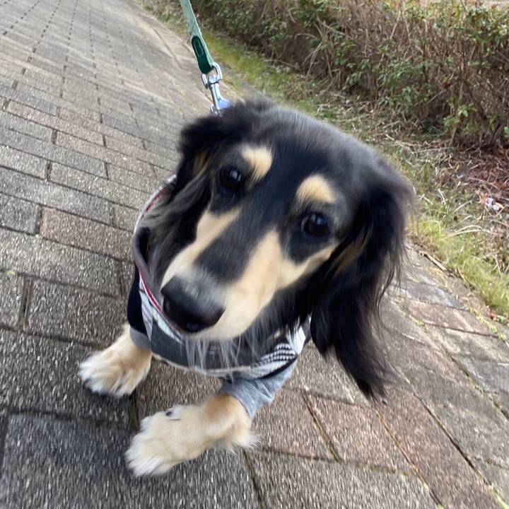 F354b133 e1e7 4912 998a 956db87e93a8 1737785518869