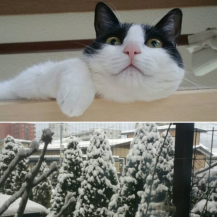 F354fc8f e725 45b2 9ec0 f2413f86dab0 1580945303729