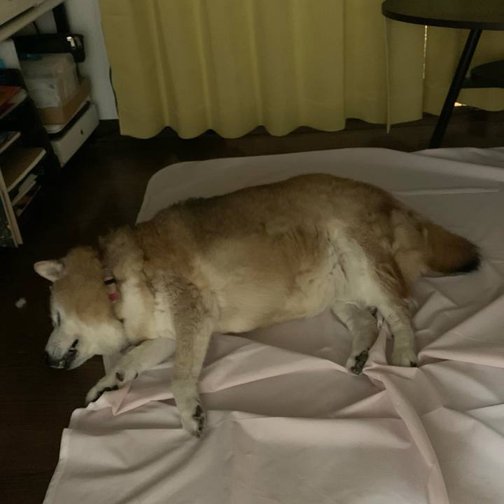 F3550ec8 078f 4aa5 b624 17f814228d91 1655292562140