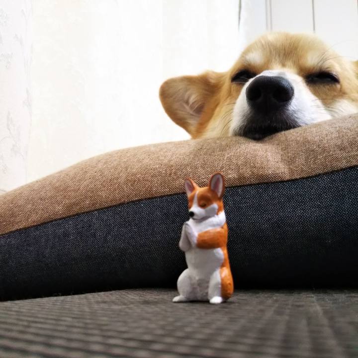 F355127d cac0 48ea a5f1 51d2b171dd8b 1581989764018