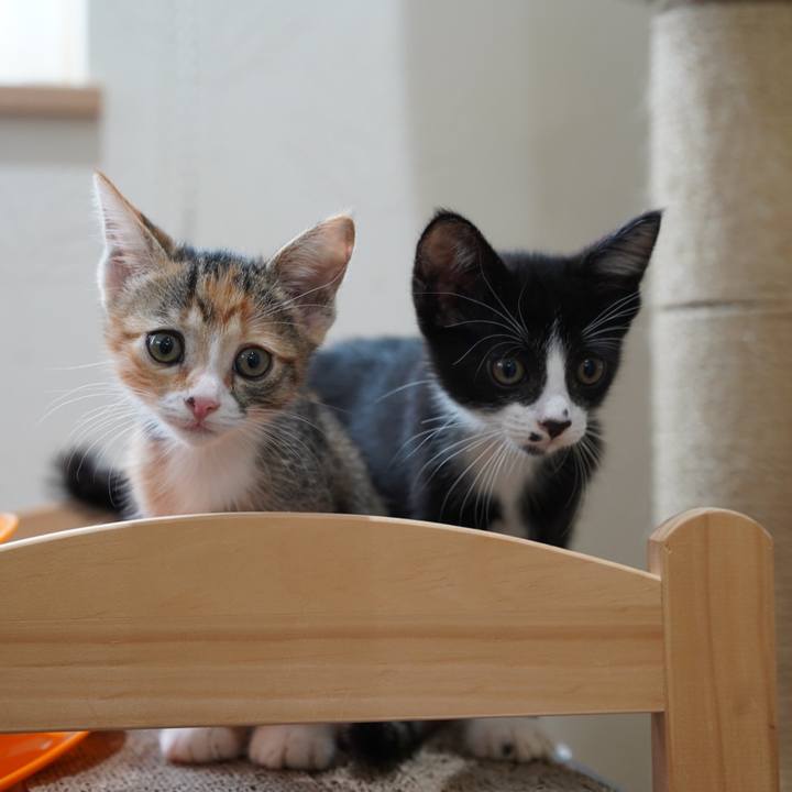 F355244a 44fa 4fda aa29 4760b9fdf7cc 1567317319314