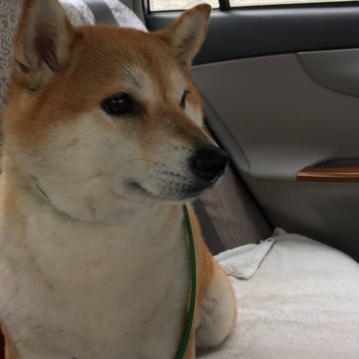 F3554c93 034e 423e 830b d5f25f1ec02d 1600305116837