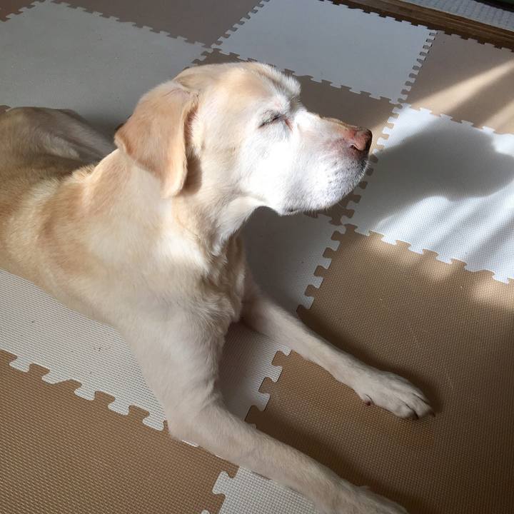 F3555f24 4086 432a 9351 90bd5c784cd4 1520896916949