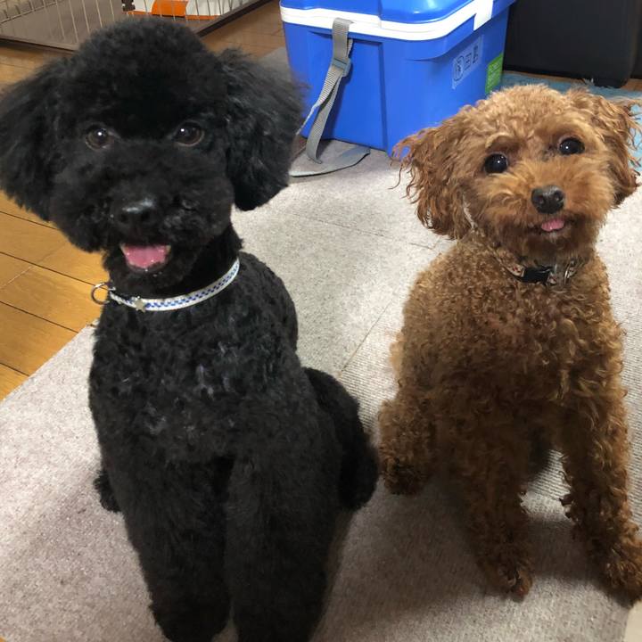 F3559b8a 996f 47ec a6fe f60c575ce4c6 1528755816678