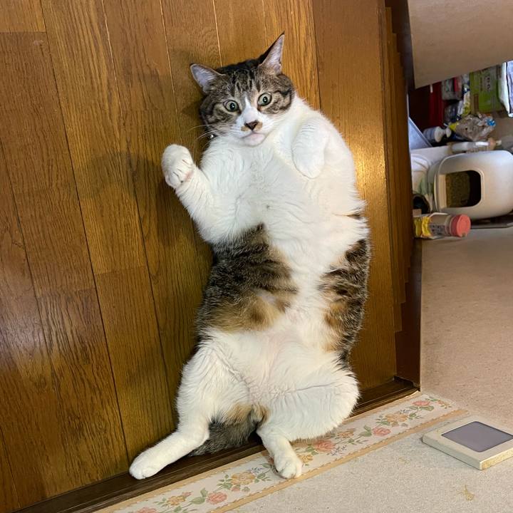 F355ab62 fe85 415c 8bd9 184cf2f12c82 1752619792234