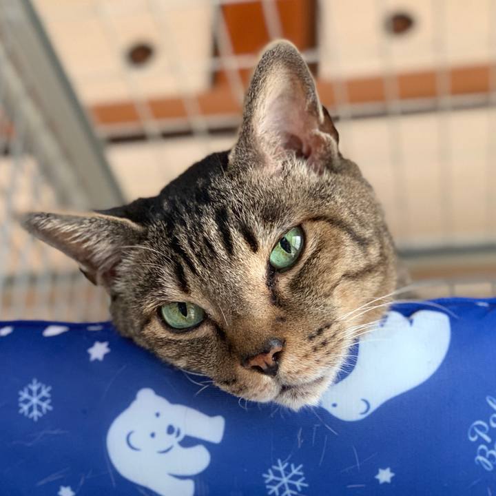 F355e172 7bcd 46e1 9b25 a436325d670c 1593479238421