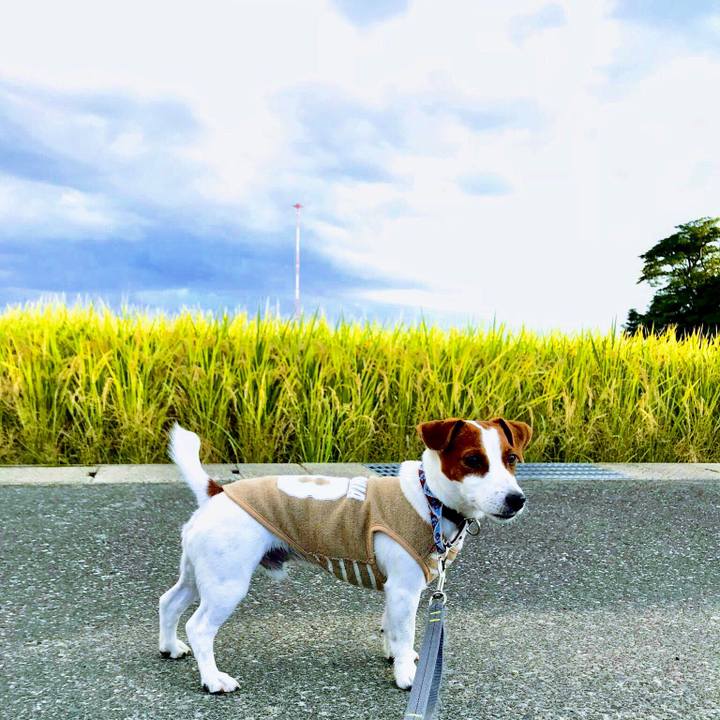 F355fc98 2d3f 4d5b 8e4a b5988a103b6d 1539565372163