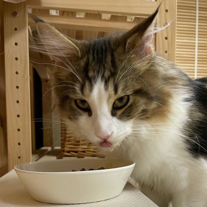 F3561830 b920 4846 95e8 bec4dffe2ff2 1638822098007