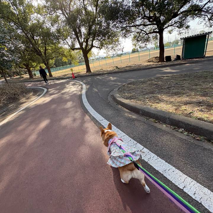 F3562e92 5b01 4e5f a52a 0c8a41a9fa98 1772365604395