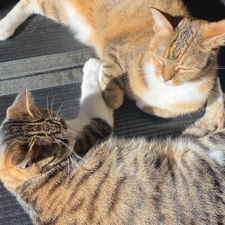 F3564e92 4af4 4707 a29d 758ddac88756 1580520937854