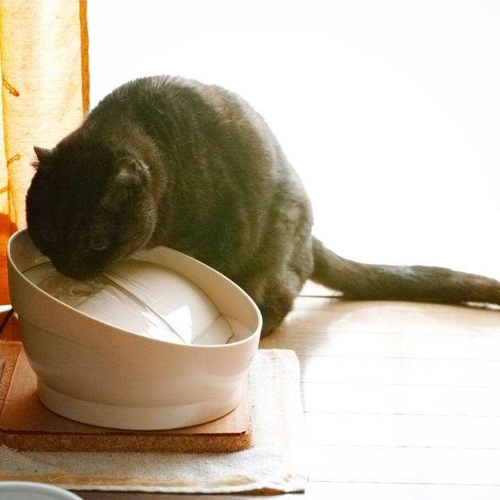 F3565241 0414 4b23 a97b 93632557da1a 1619769145967