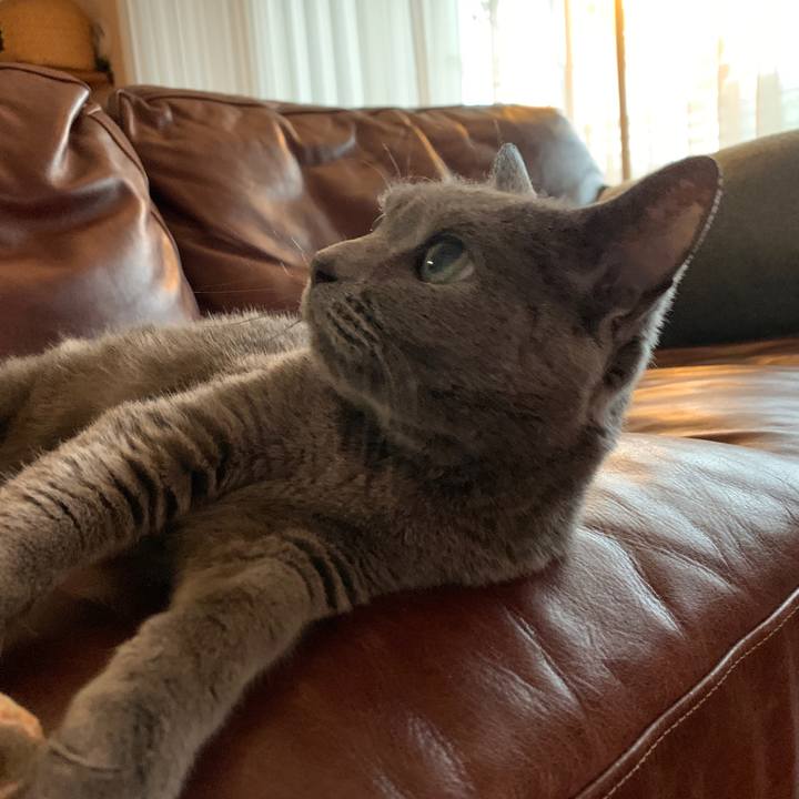 F3565269 8ca2 4cd9 8088 6b257c9917b5 1624784888594