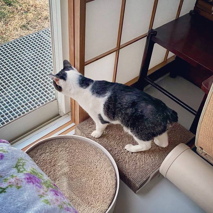 F3565367 e31c 4521 ac04 3c35ab2cbf4c 1614163954062