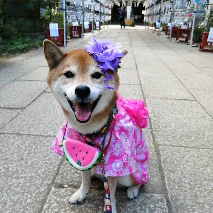 F3567648 7ce7 46ce b7f5 97044d66e49b 1693017727581