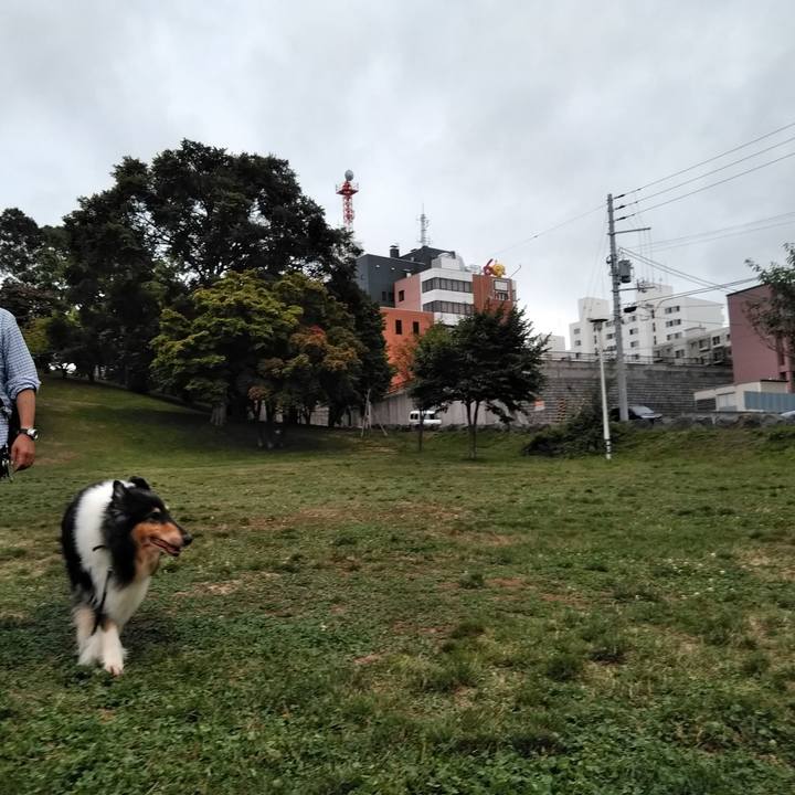 F356abf4 d065 4473 9caf 925f57466d78 1566006152024