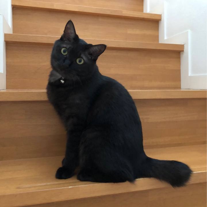 F356c8bb 4307 478e a2be 0a9f20ad1ead 1540896248283