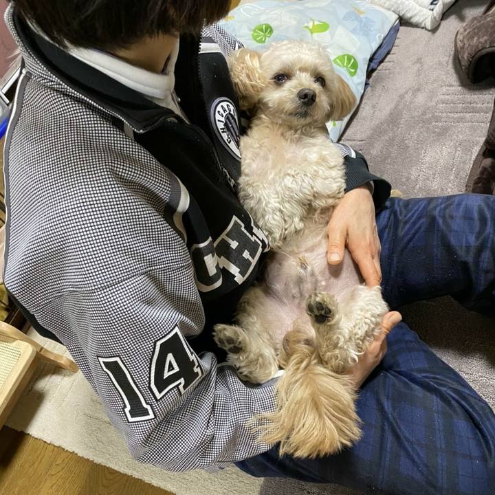 F3570056 7b07 458c b195 b4a8ce8a8f60 1606742542987