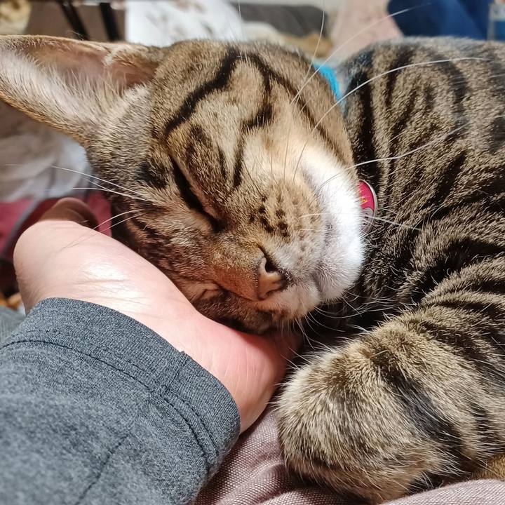 F3570d00 d8b4 4288 a804 18b5f3013193 1650234272014