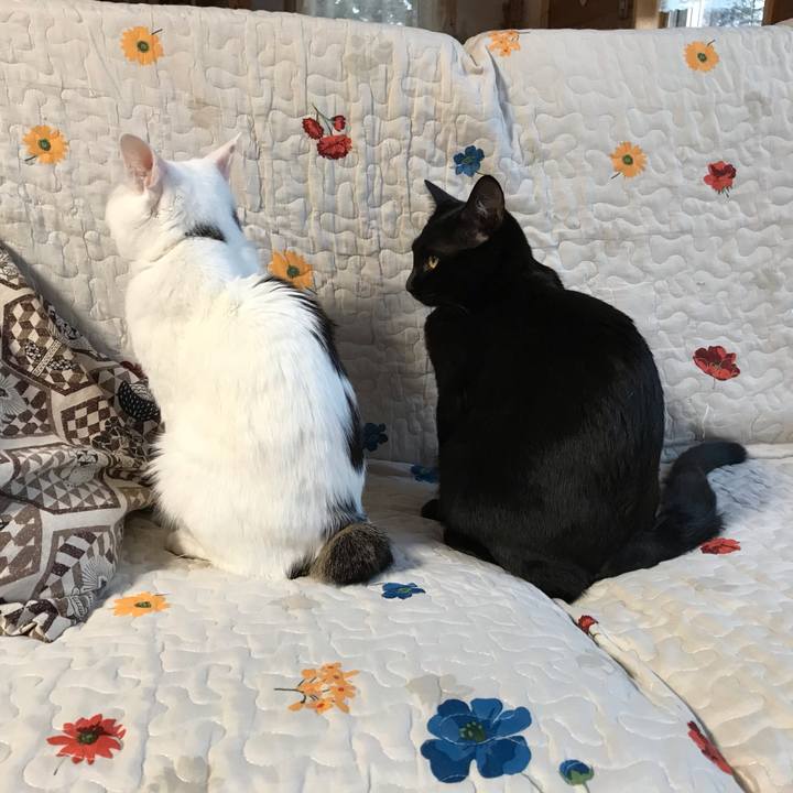 F3570f06 05e1 45ce 8636 6796e8e17363 1577749919329