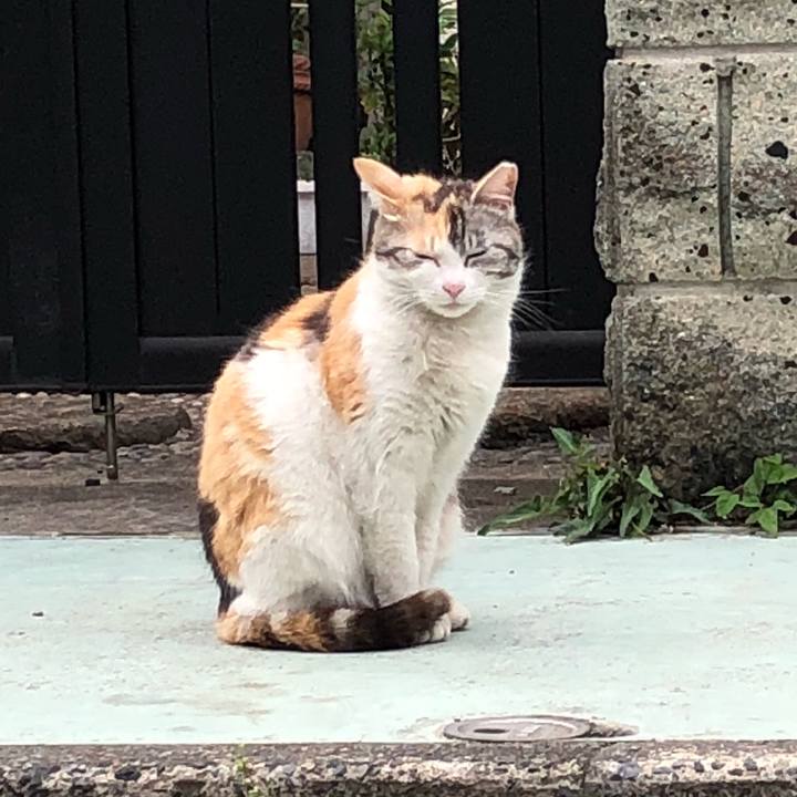 F357493e b8ad 4d48 979c 38b8beea809e 1523867089335