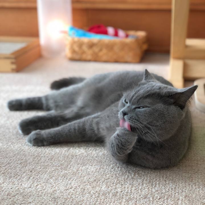 F3577725 f26c 416b b57d ec5d5941c078 1522482549134