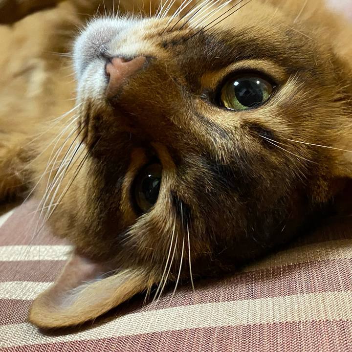 F35782a0 9683 49c3 ab4a 768dcb3becc4 1659918732708