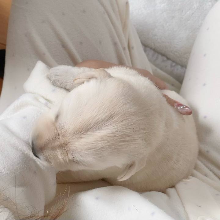 F3578315 fd74 4e4a afd8 5a124f4f5e09 1669308463253