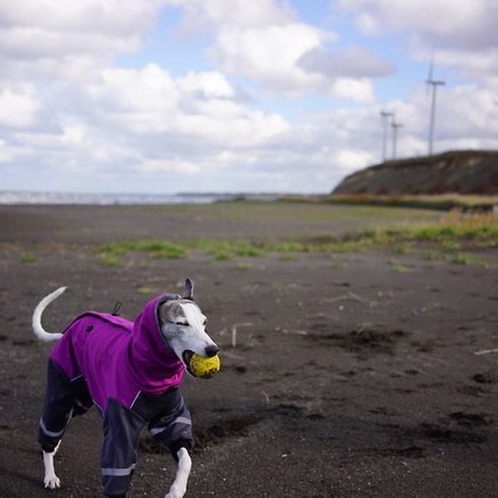 F3578d22 d6d4 4af9 8be0 117abcde4d6a 1543135754598